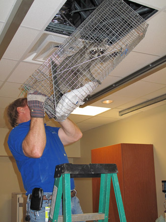CommercialPestControl