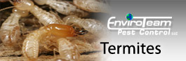 Getting Rid of Termites -EnviroTeam Pest Control