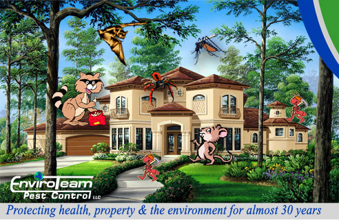 ProtectedHomebyEnviroTeamPestControl